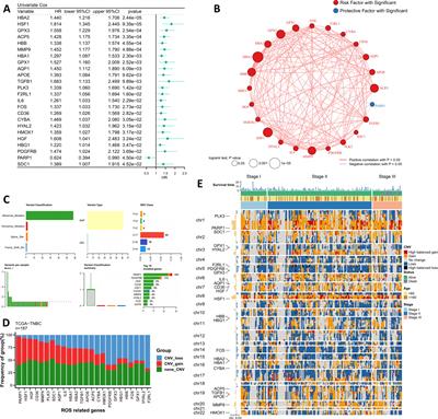 Integrating machine learning algorithms to systematically assess reactive oxygen species levels to aid prognosis and novel treatments for triple -negative breast cancer patients